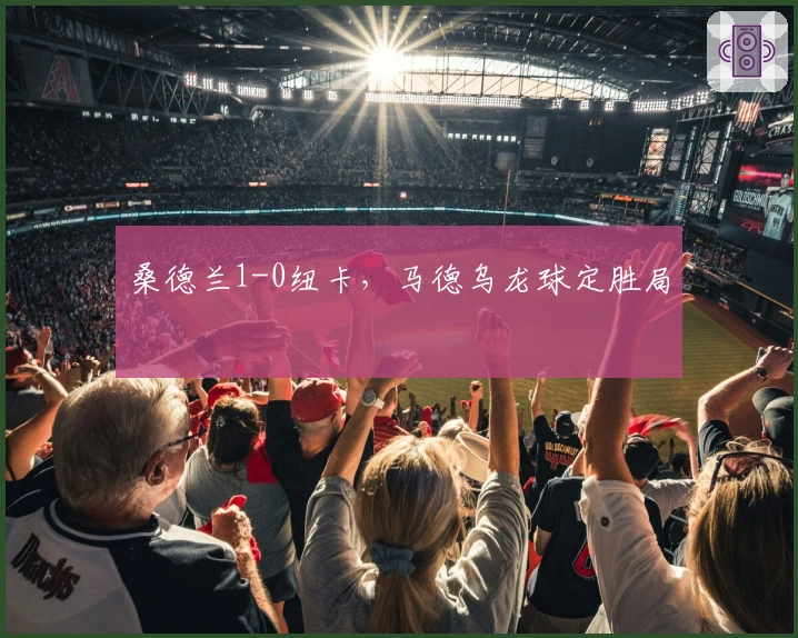 桑德兰1-0纽卡,马德乌龙球定胜局